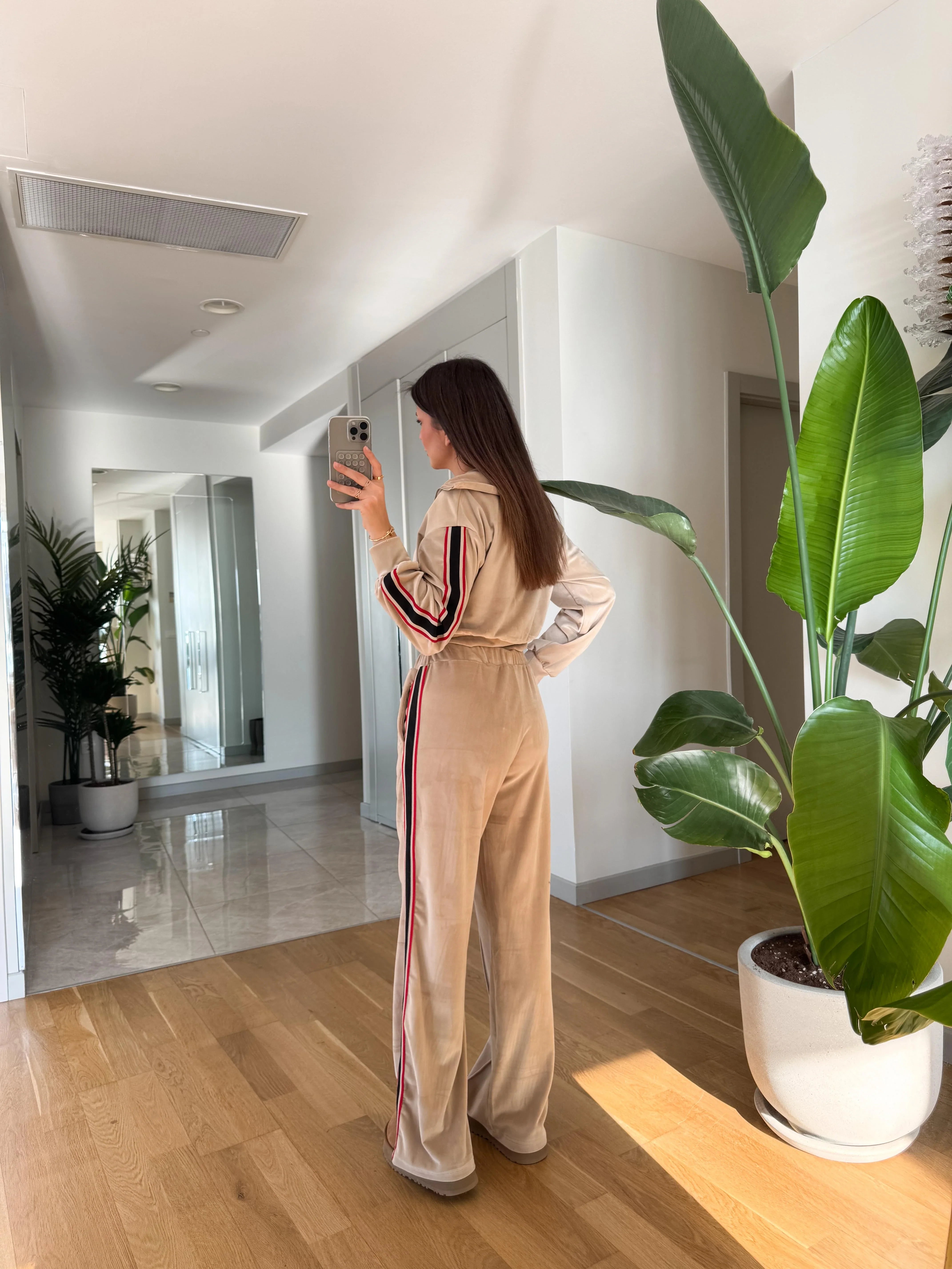 Conjunto Ligné
