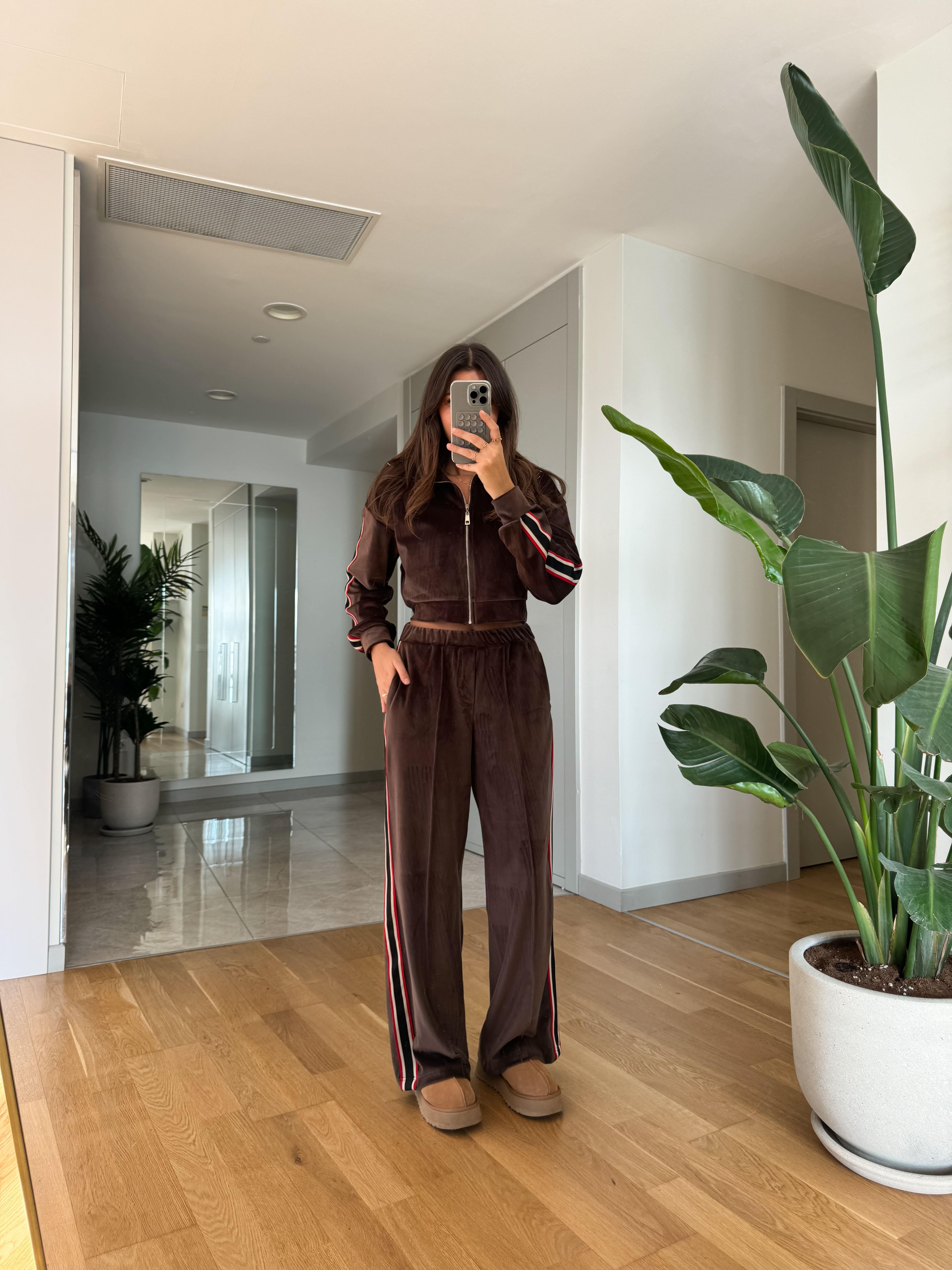 Conjunto Ligné